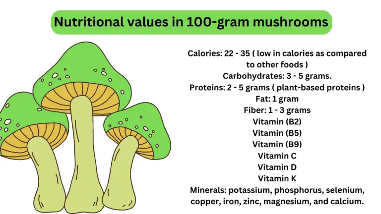 nutrients in 100 gram mushroom