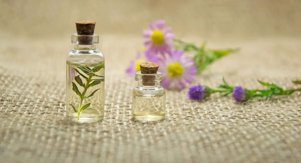 The Best Essential Oils for Anxiety Relief