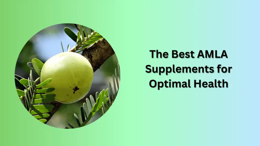 The Best AMLA Supplements for Optimal Health