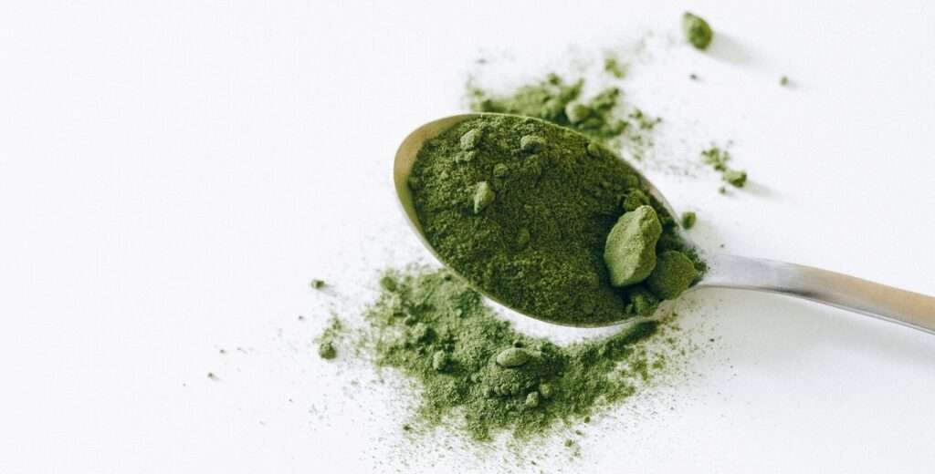 The Best Green Powders for Your Home