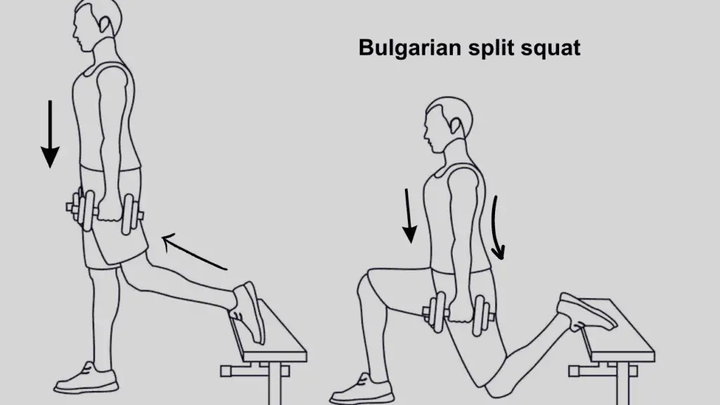 How to do a Bulgarian split squat correctly