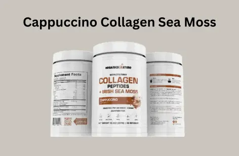 Best Collagen Supplements for women
