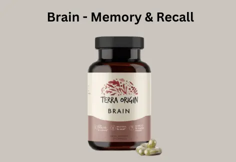 The Best cognitive health supplements