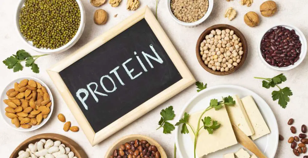 Exploring the Benefits of Plant-Based Protein Powder