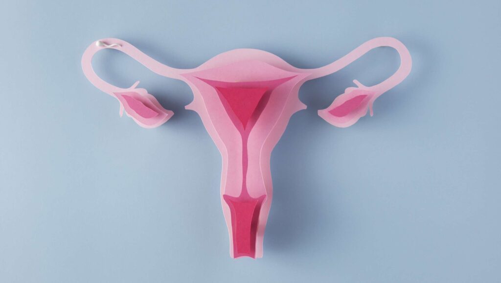 PCOS Myths Busted: Separating Fact from Fiction