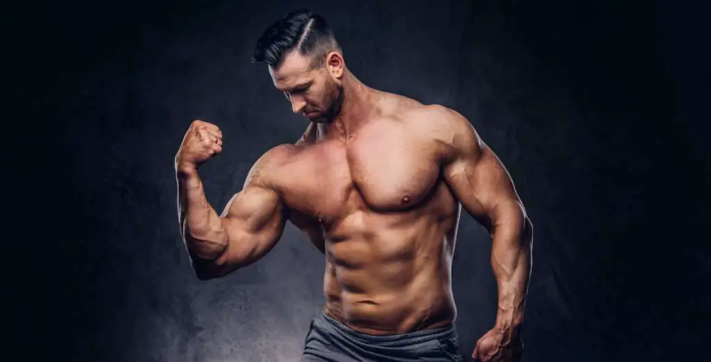 The Science of Building Muscle: Tips and Strategies