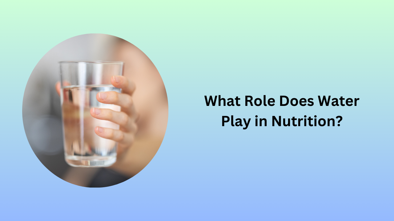 What Role Does Water Play in Nutrition?